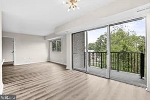 12701 Lotte Drive #203 photo 9