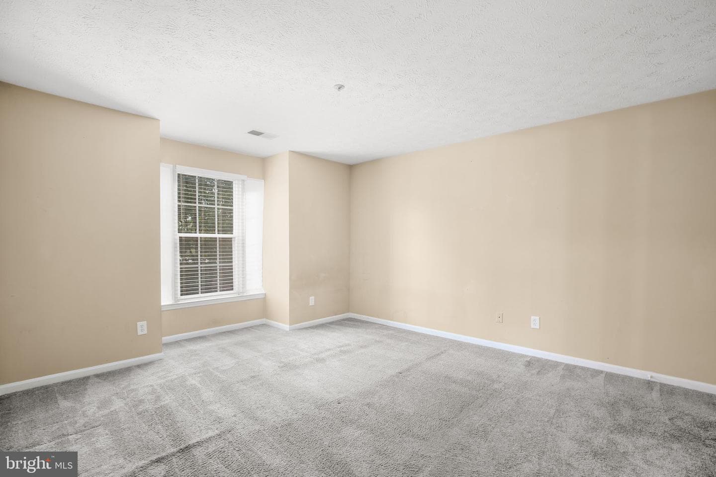 12309 Ashmont Court #203 photo 15