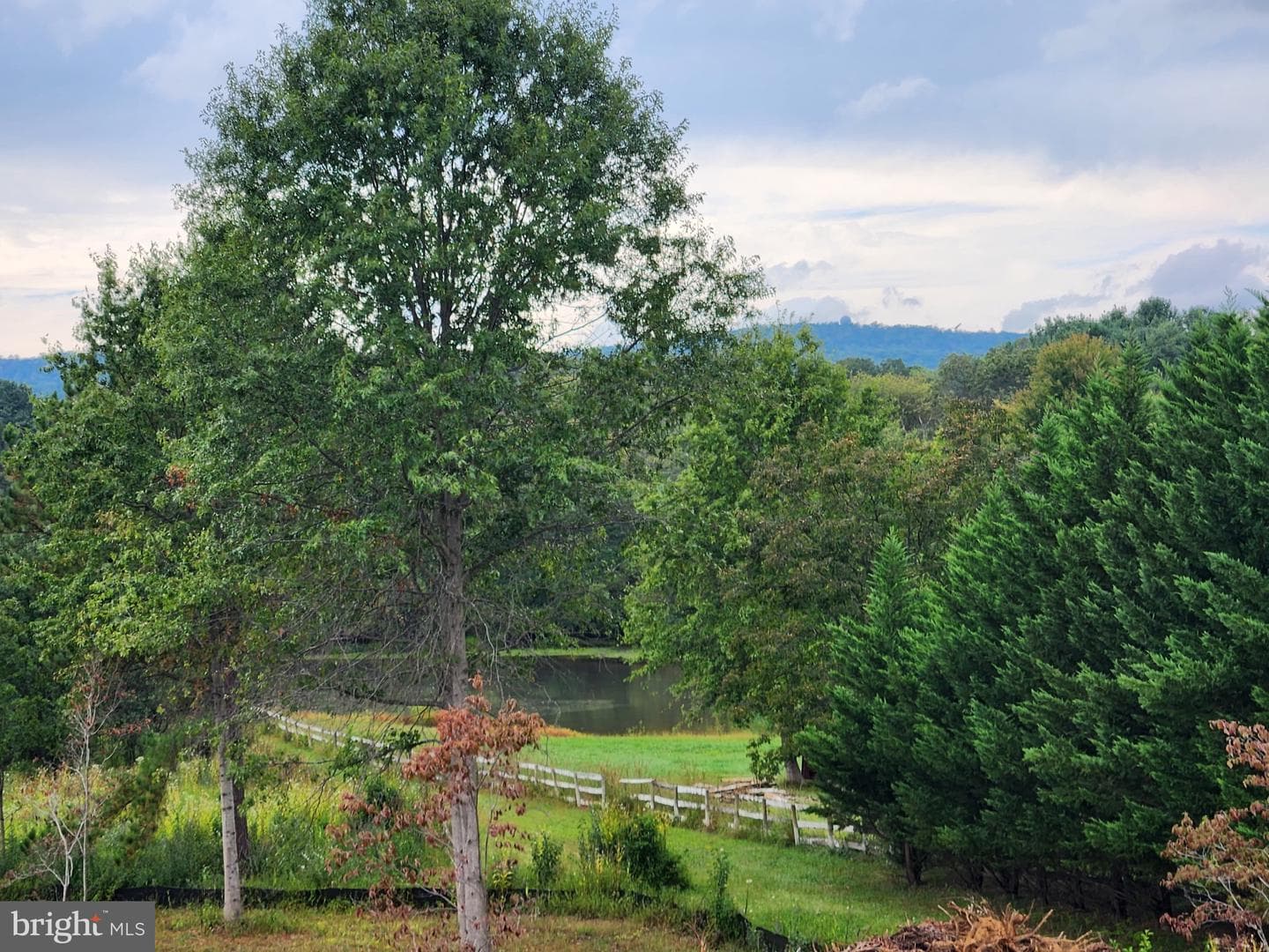 4410 Dogwood Tree Court photo 52