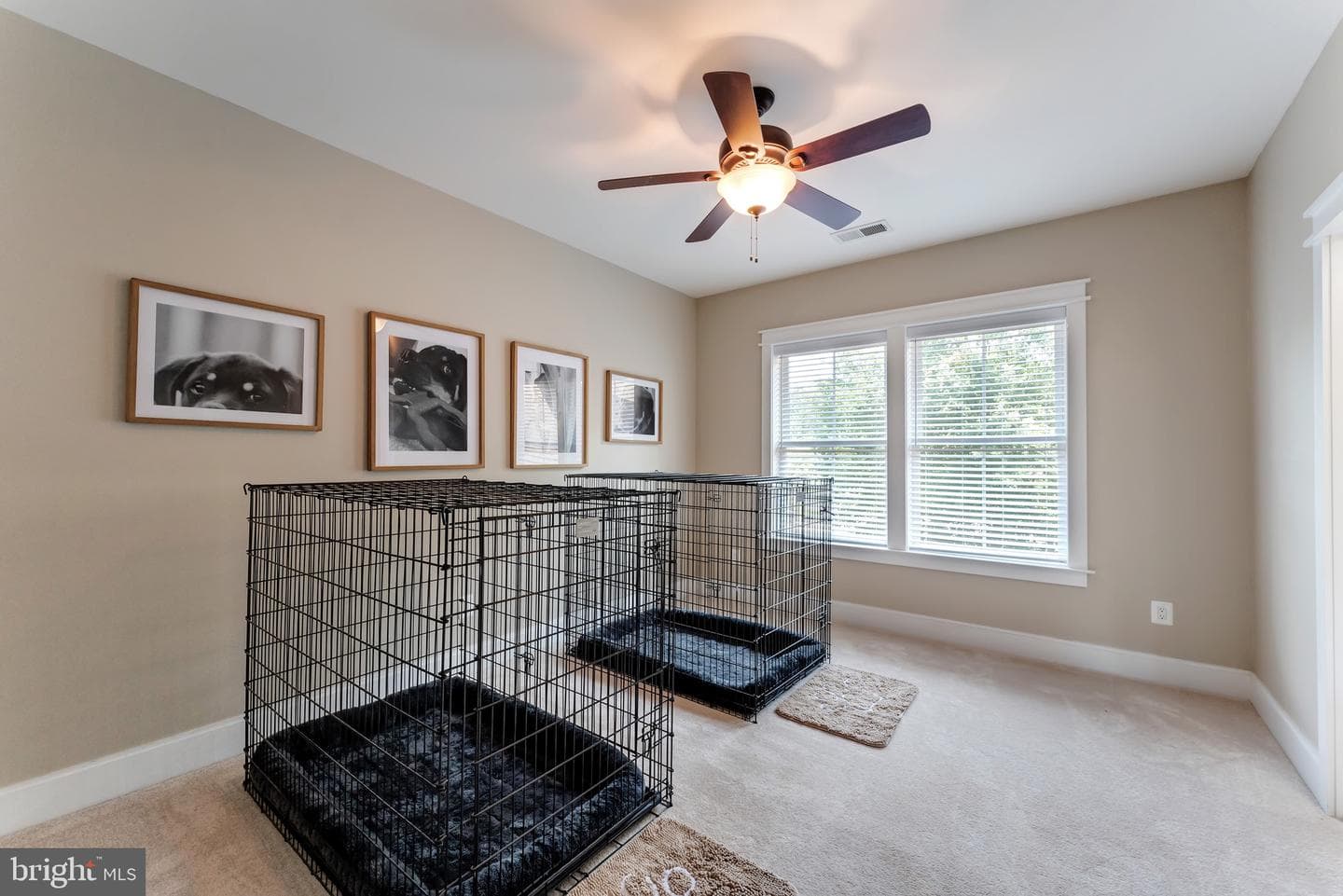 14428 Eagle Island Court photo 37