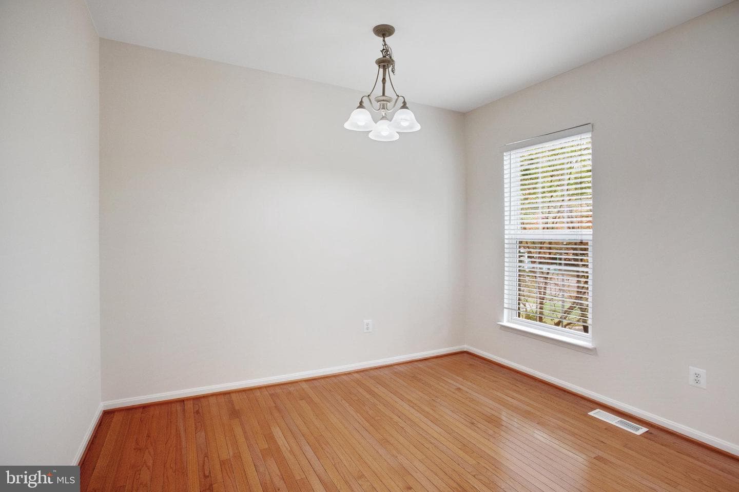 4903 Chaste Tree Place photo 18