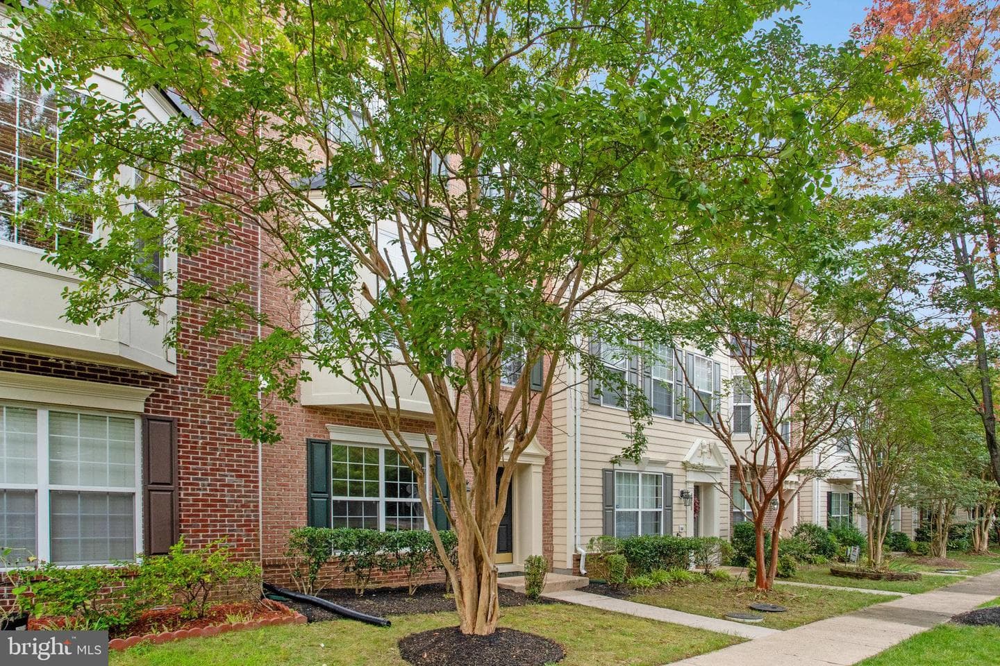 4903 Chaste Tree Place photo 2