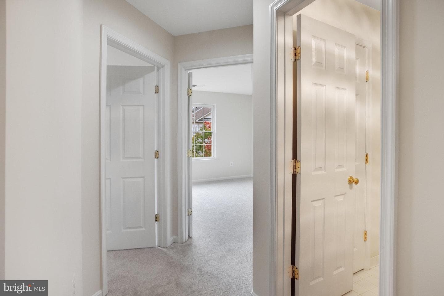 4903 Chaste Tree Place photo 28
