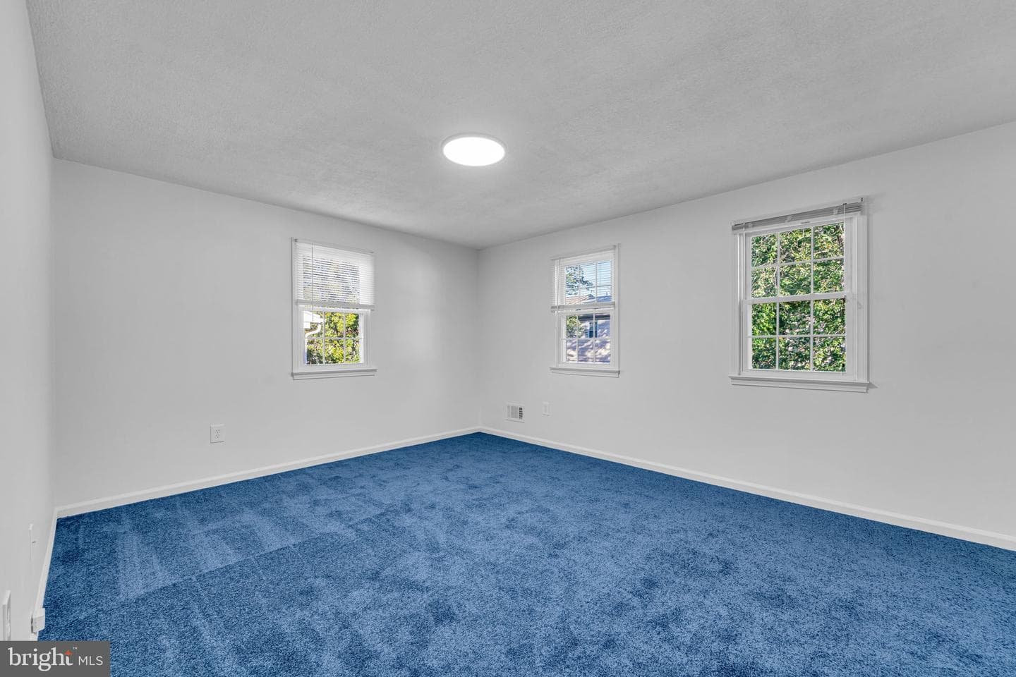 13115 Vineyard Way photo 28