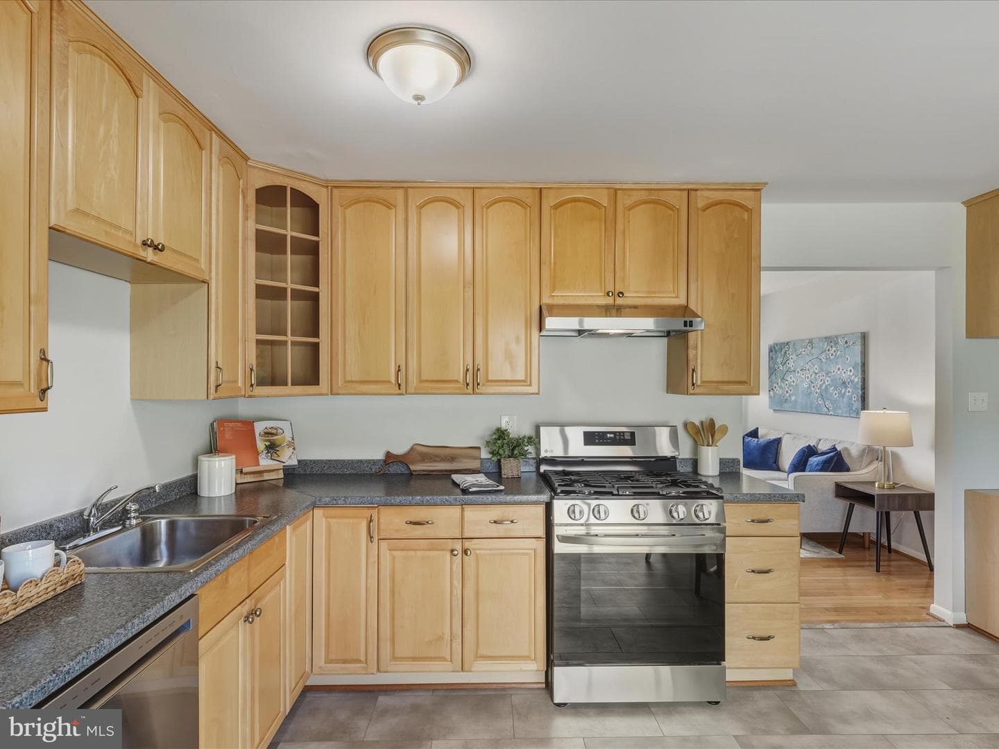 13203 Hampshire Court photo 12