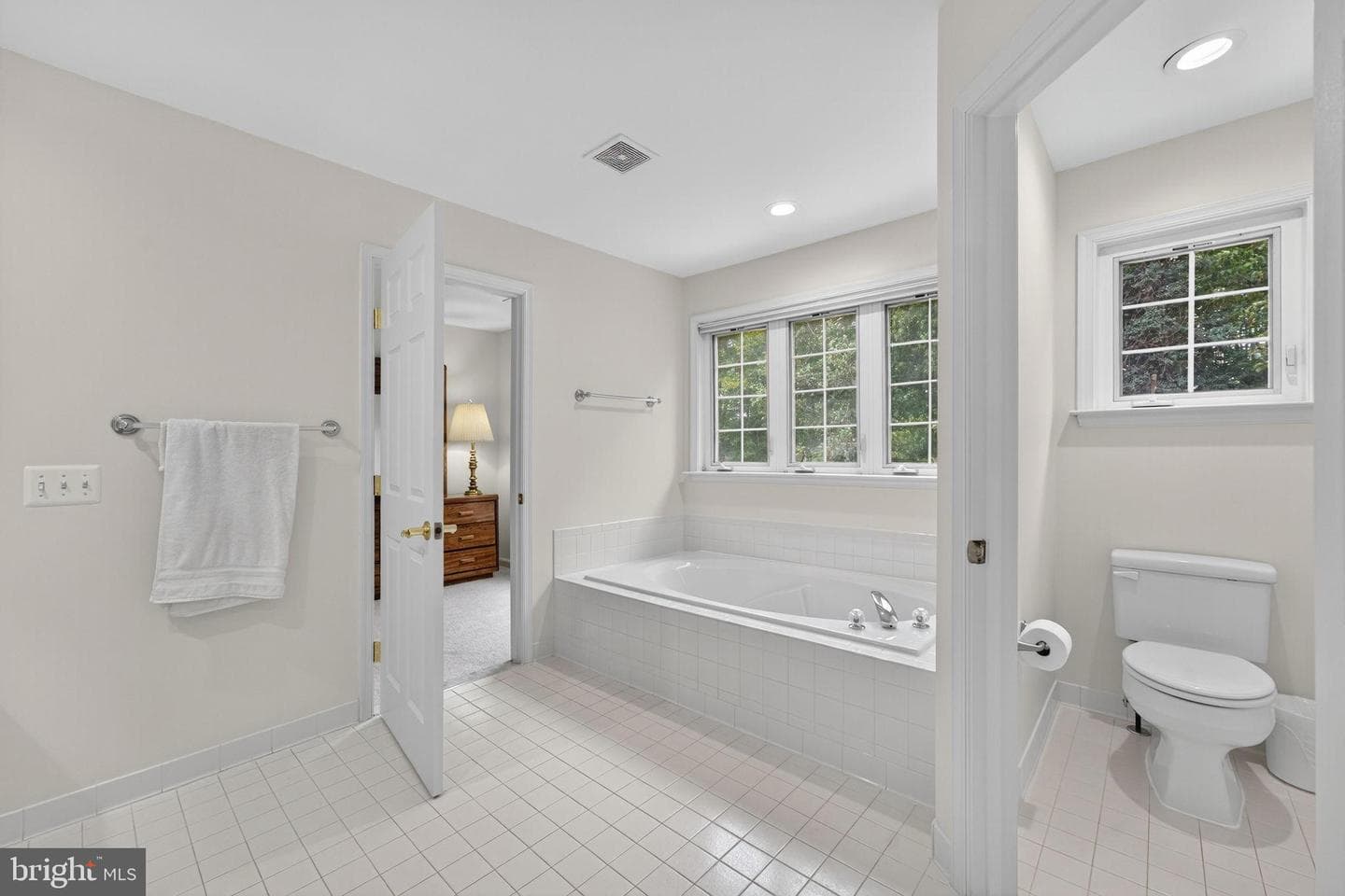 12841 Dusty Willow Road photo 54