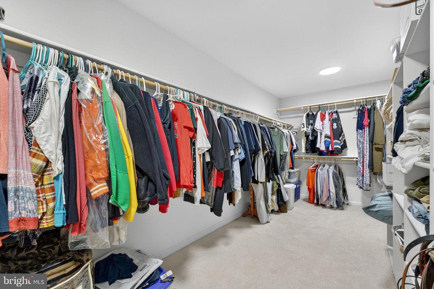 12841 Dusty Willow Road photo 60