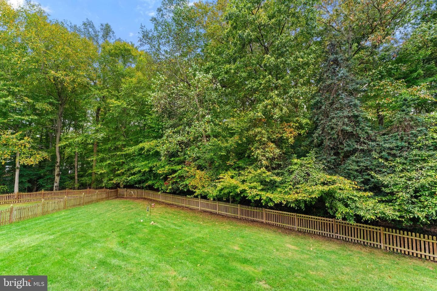 12841 Dusty Willow Road photo 84