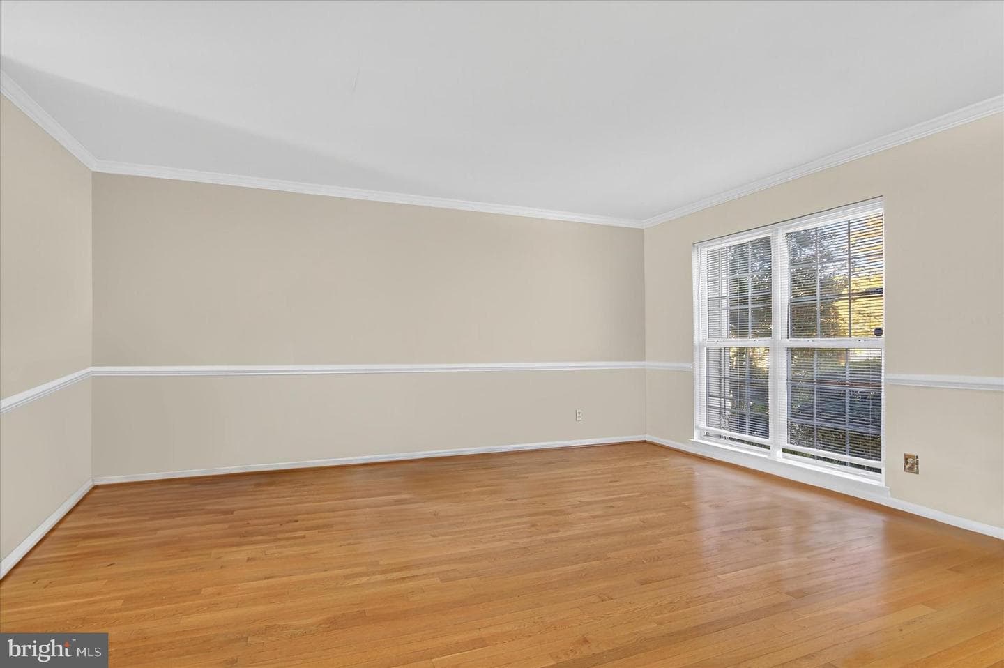 3435 Tuckahoe Court photo 4