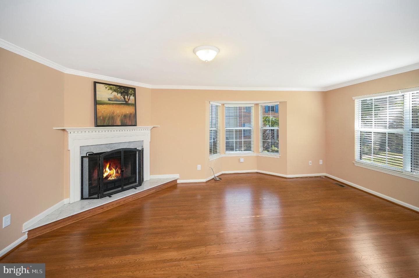 2728 Brier Pond Circle photo 7