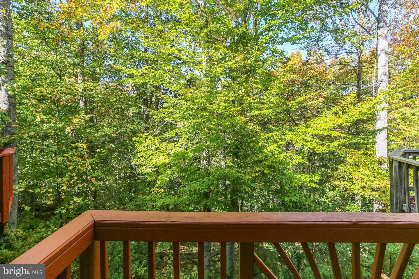 15469 Port Washington Court photo 37