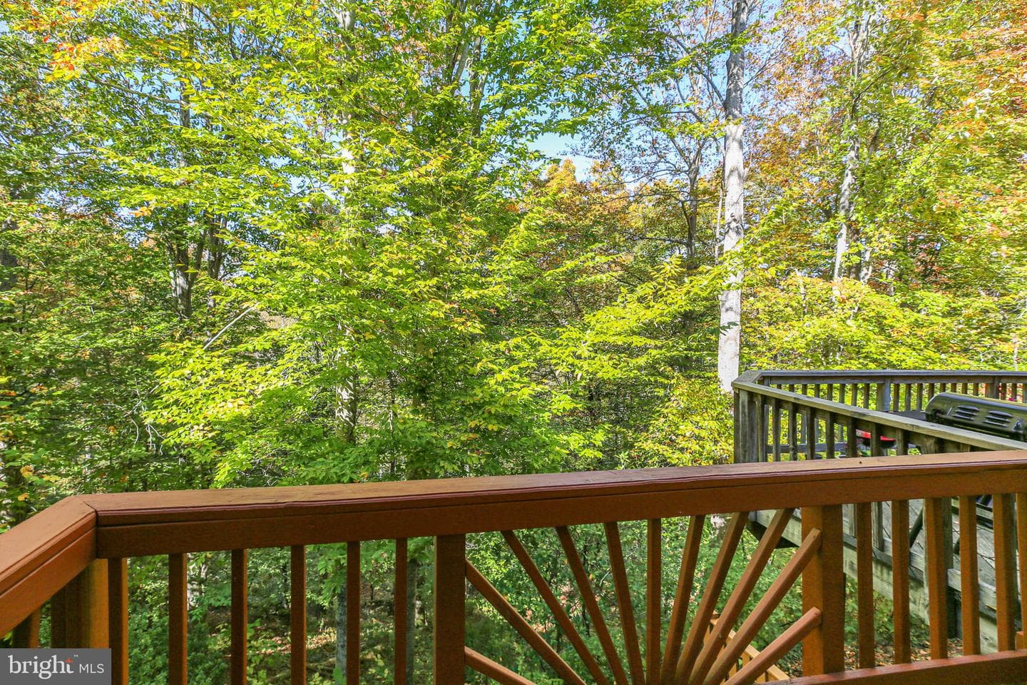 15469 Port Washington Court photo 39