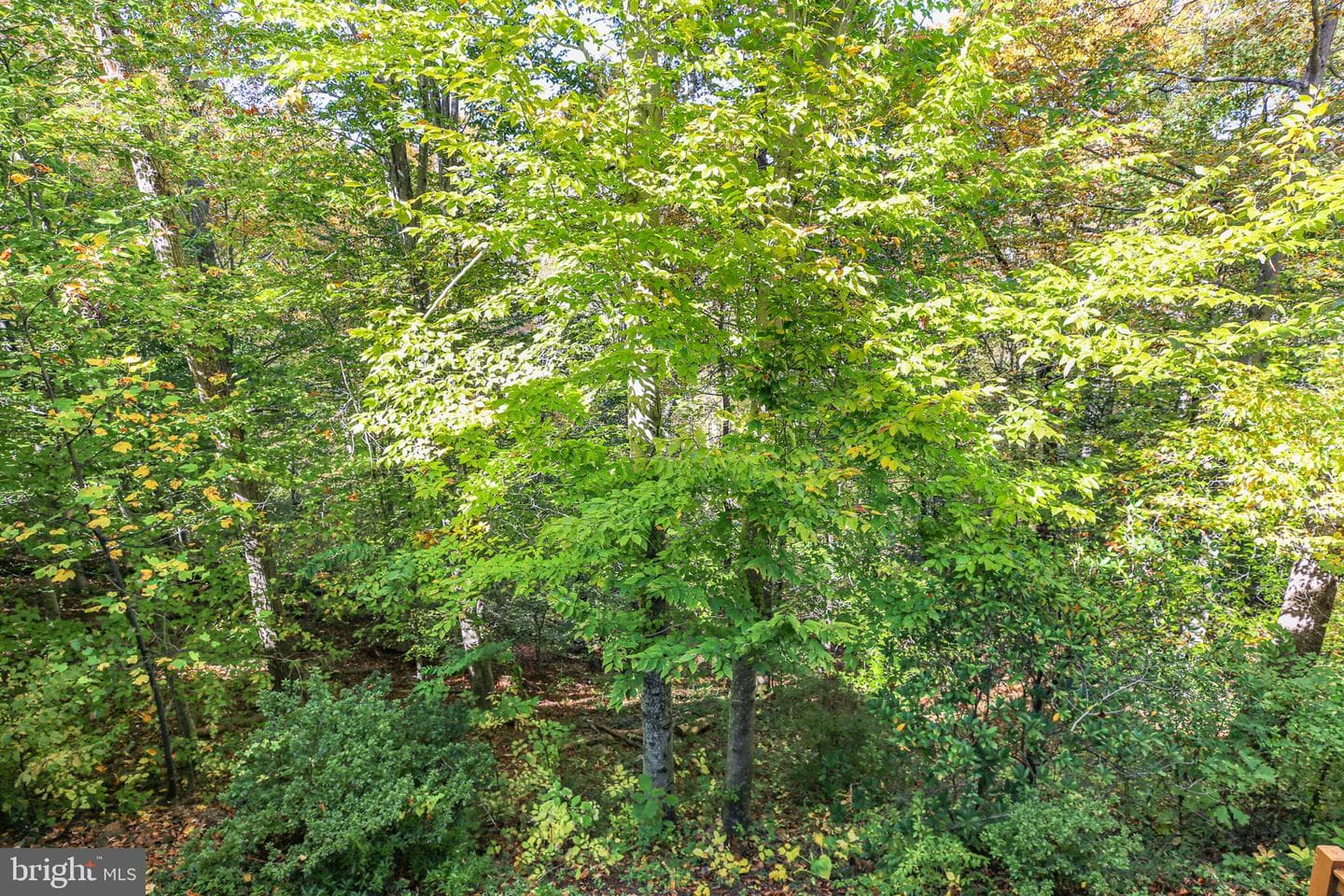 15469 Port Washington Court photo 40