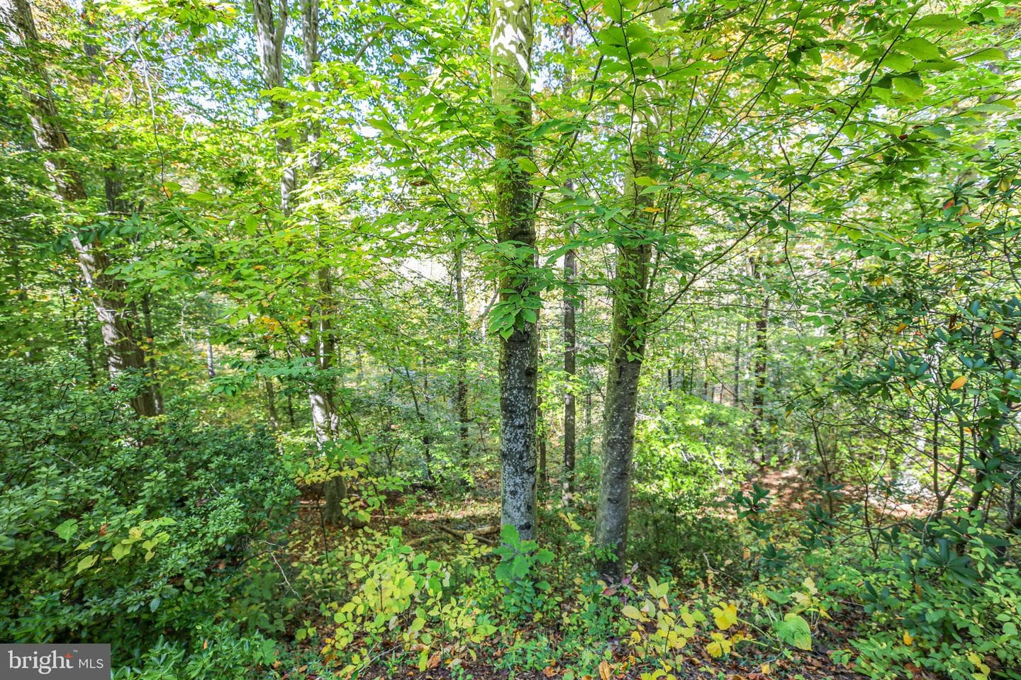 15469 Port Washington Court photo 41