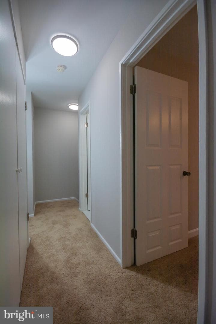 7518 Quail Run Lane photo 19