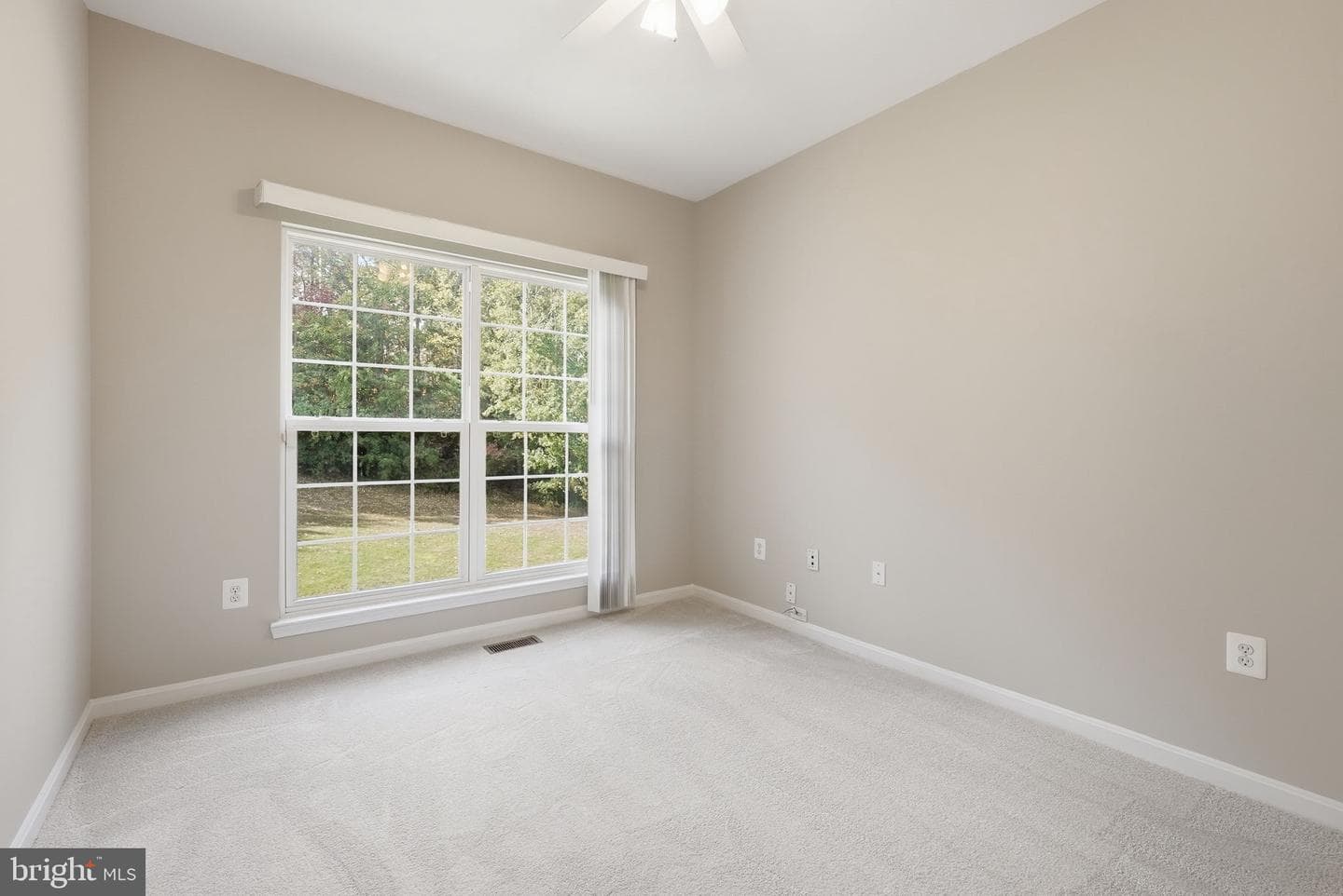 6215 Haw Branch Court photo 18
