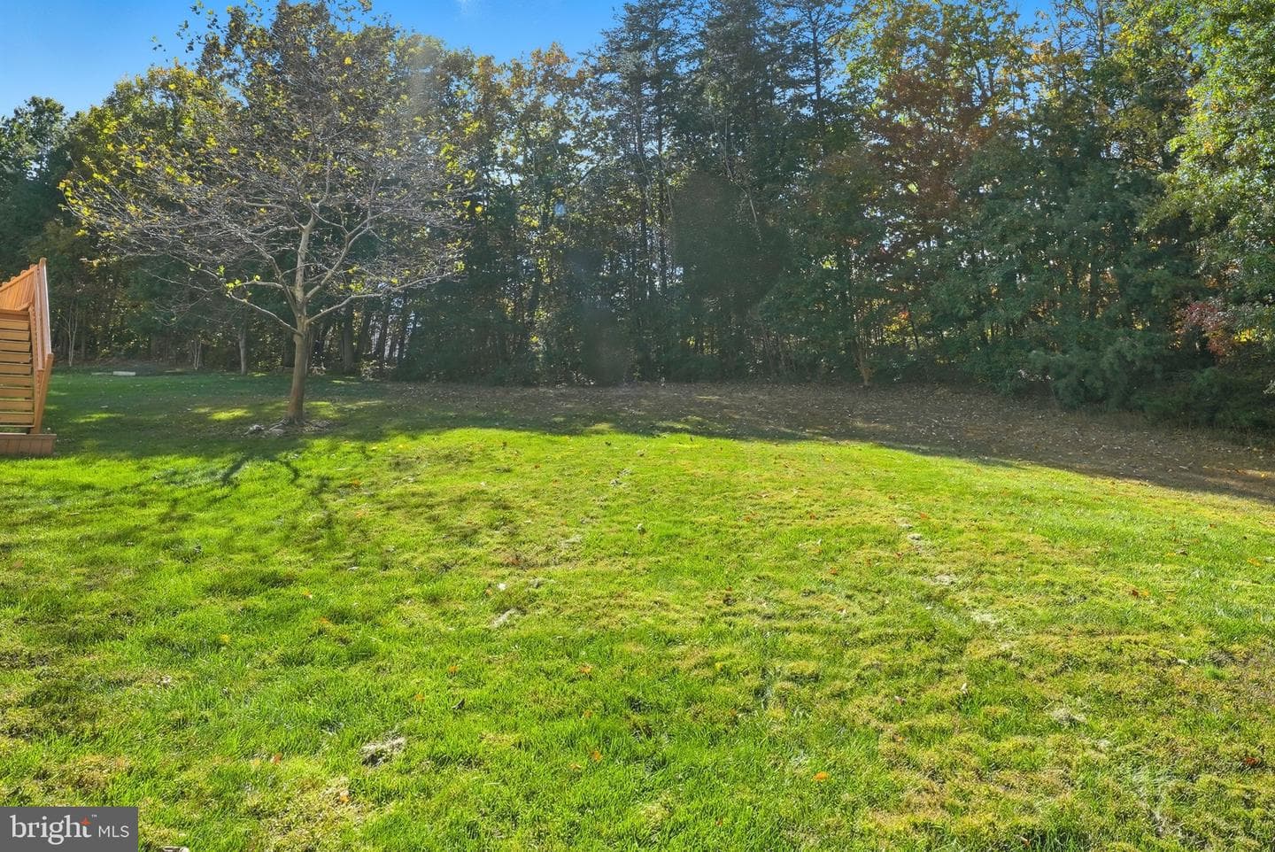 6215 Haw Branch Court photo 46
