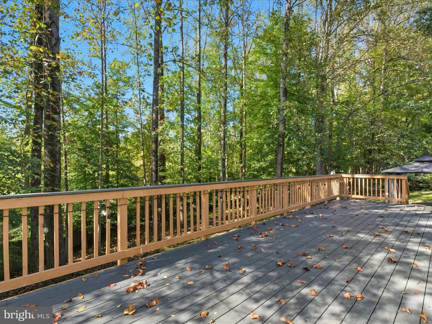 15084 Greenmount Drive photo 46
