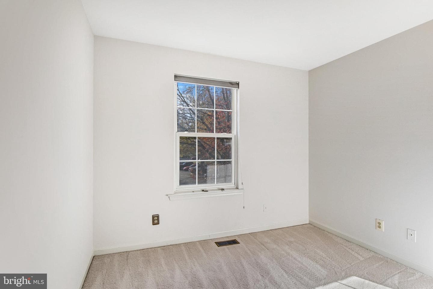 7937 Rebel Walk Drive photo 14