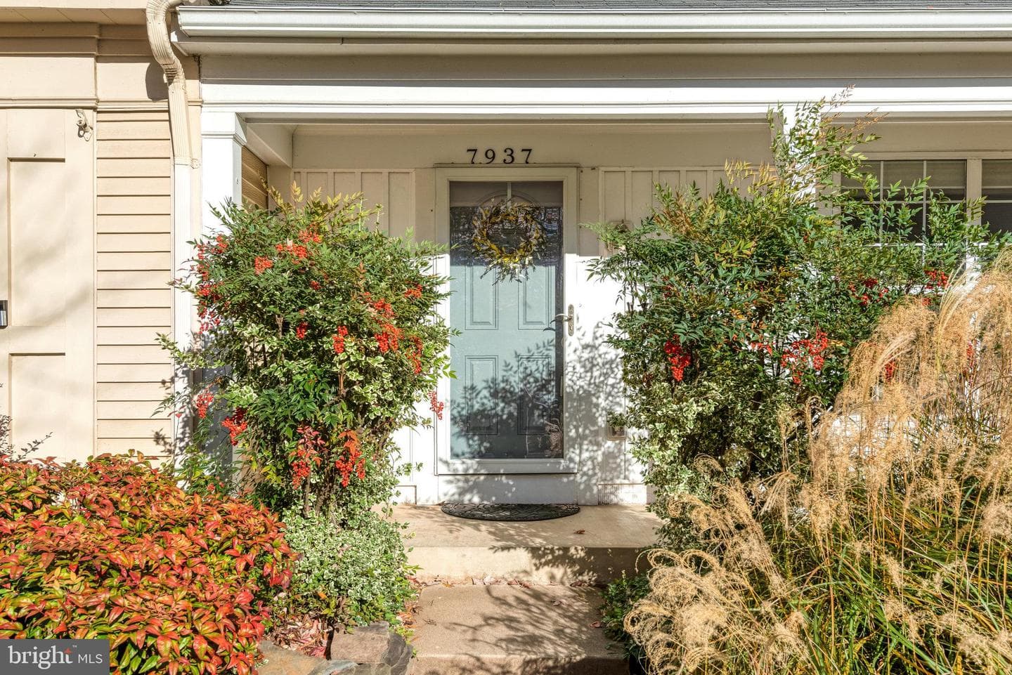 7937 Rebel Walk Drive photo 5