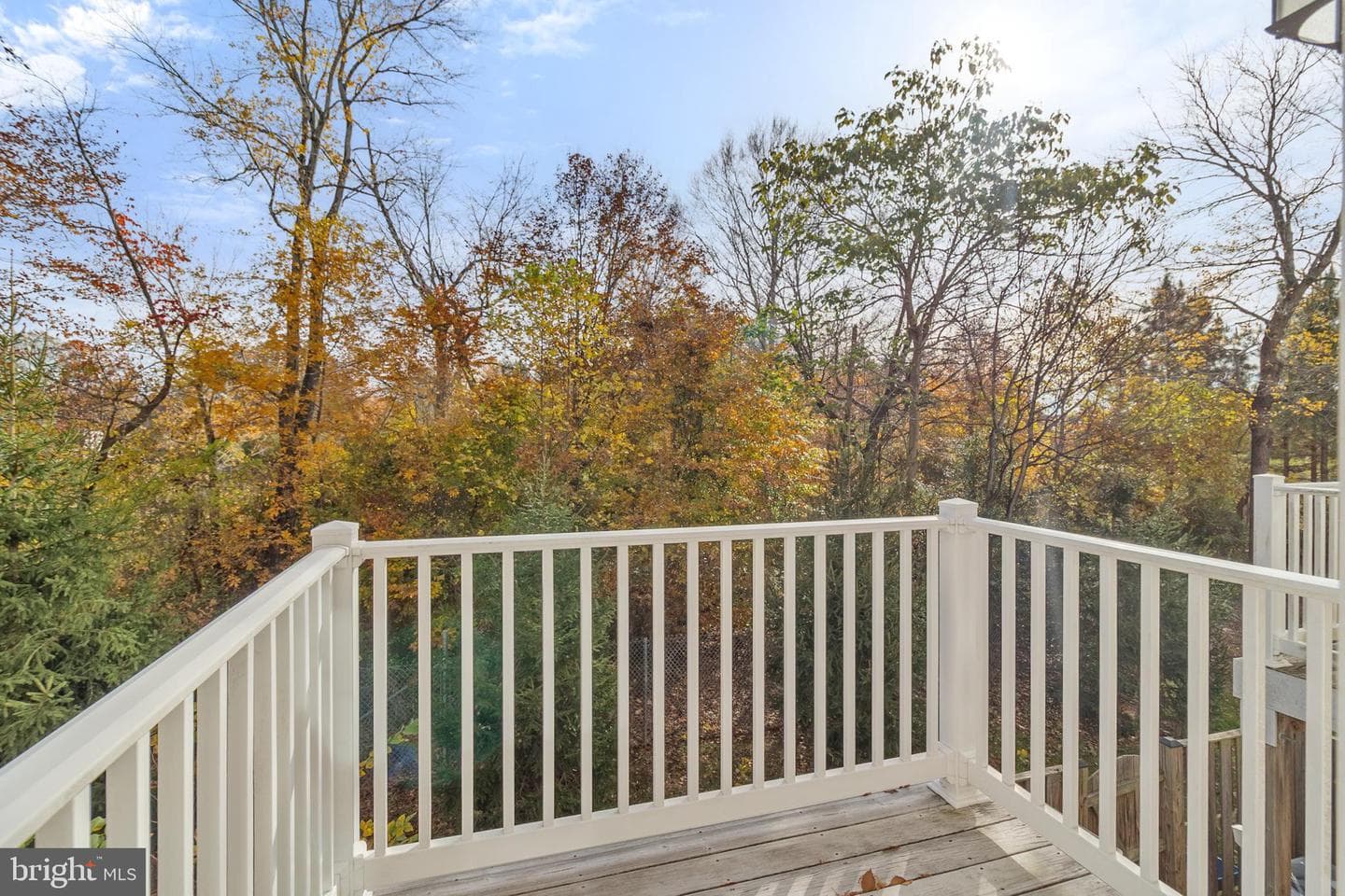7394 Riding Meadow Way photo 13