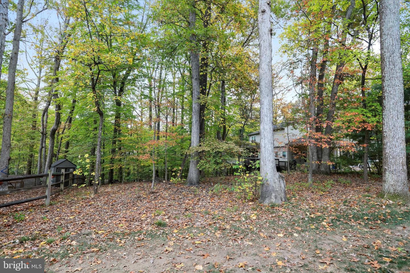 12075 Willowood Drive photo 43