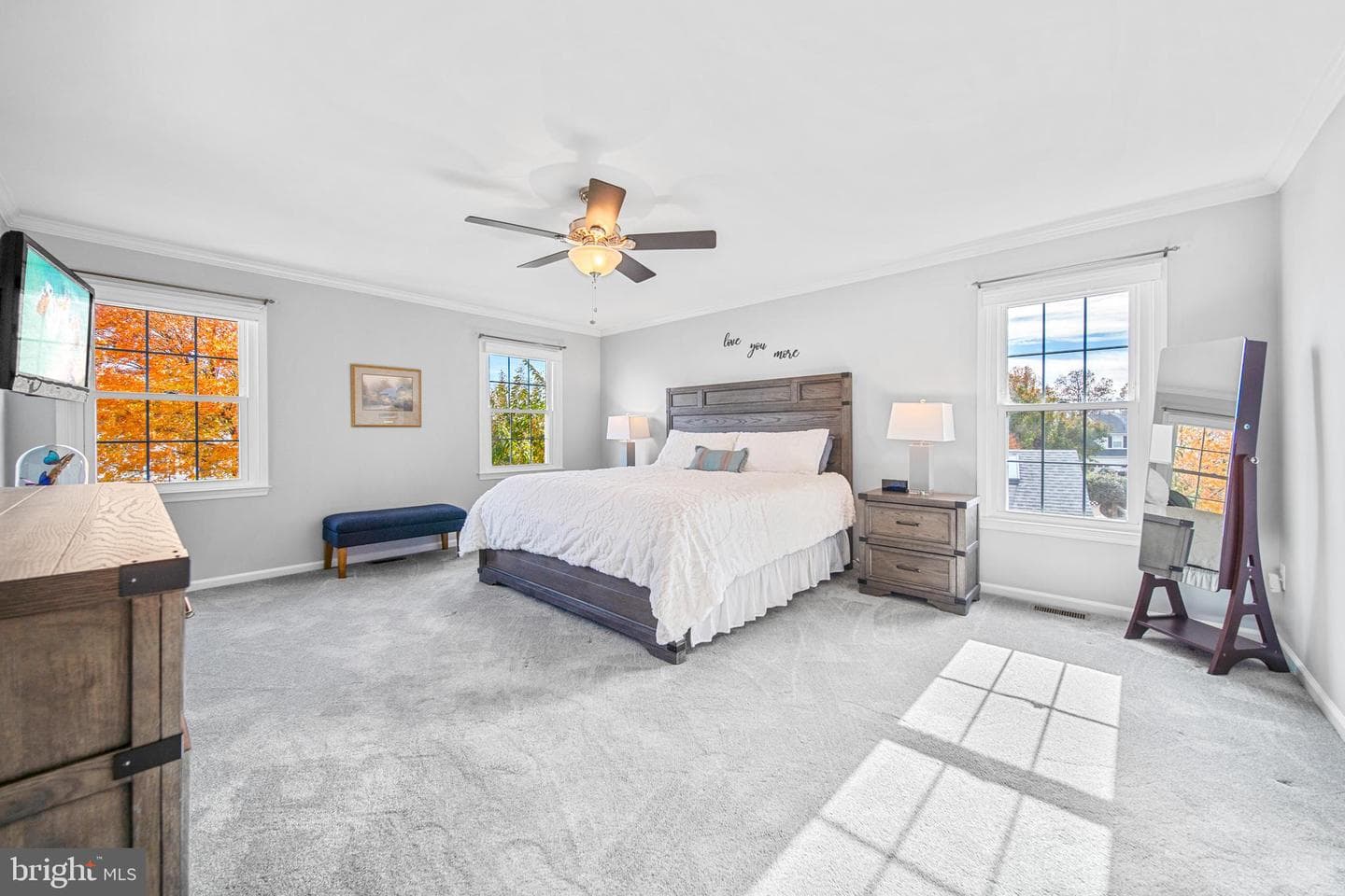 10902 Pennycress Street photo 23
