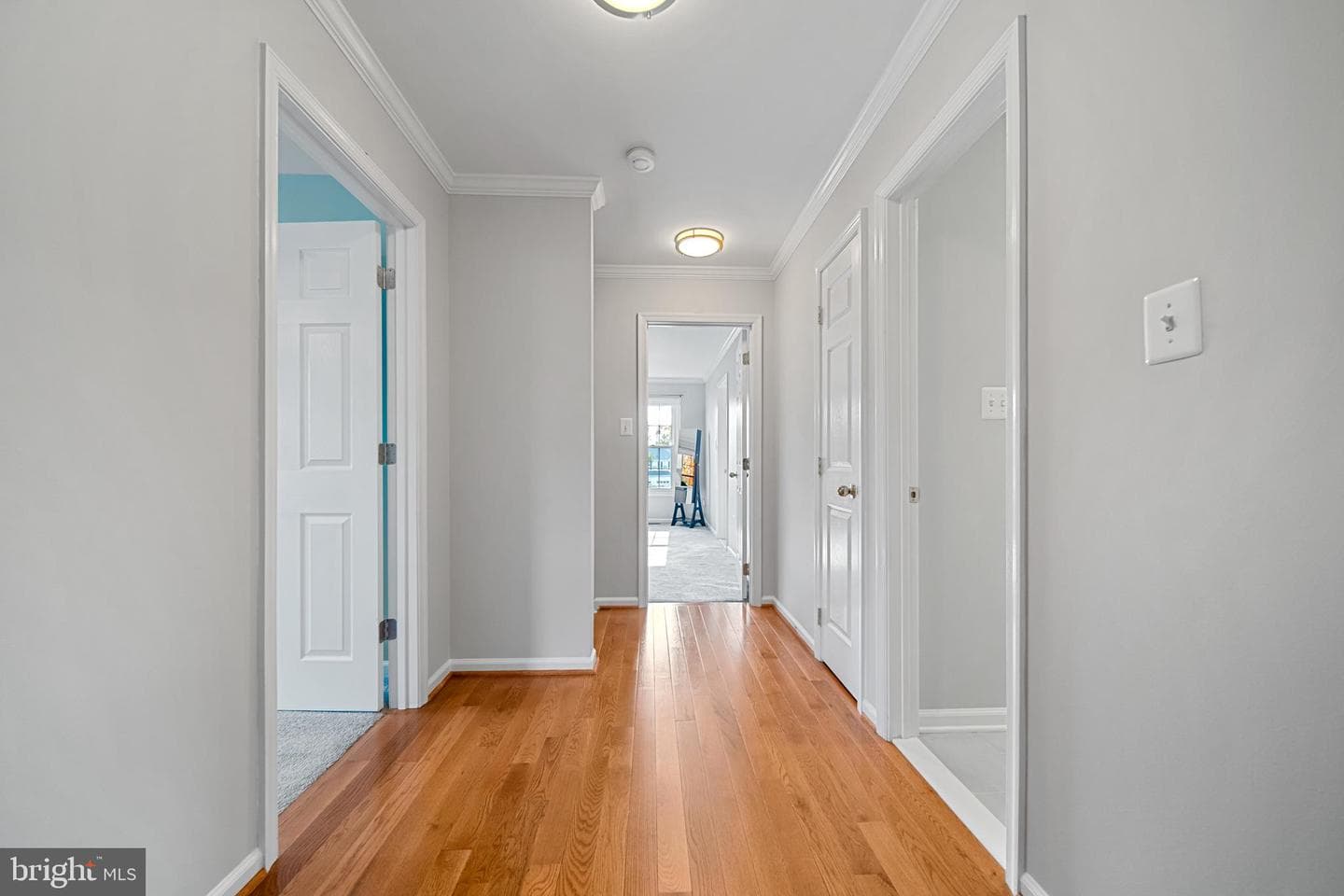 10902 Pennycress Street photo 32