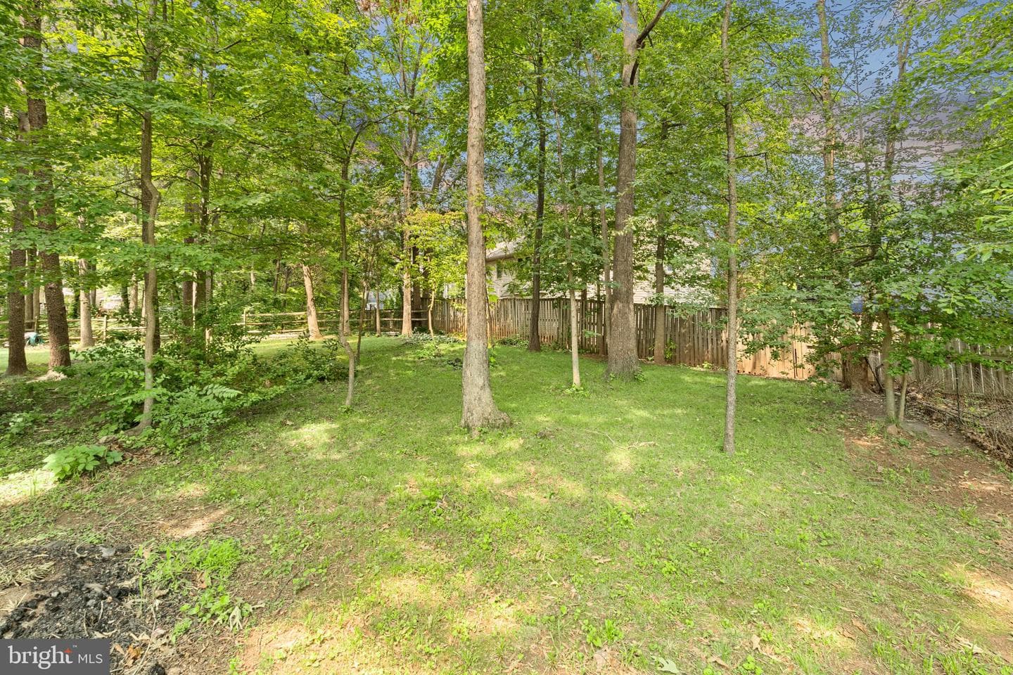 10902 Pennycress Street photo 54
