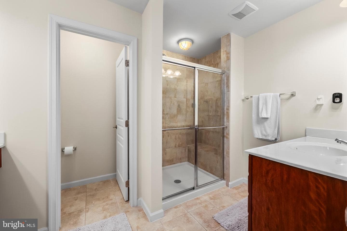 14738 Mason Creek Circle #29 photo 19