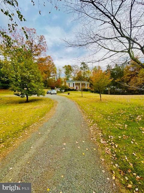 12417 Nokesville Road photo 16