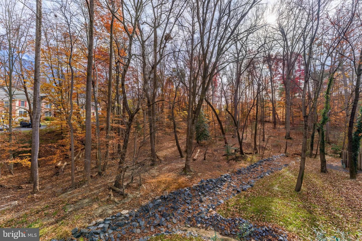 12165 Abbey Glen Court photo 23