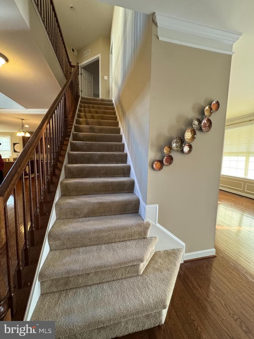 14933 Spriggs Tree Lane photo 11