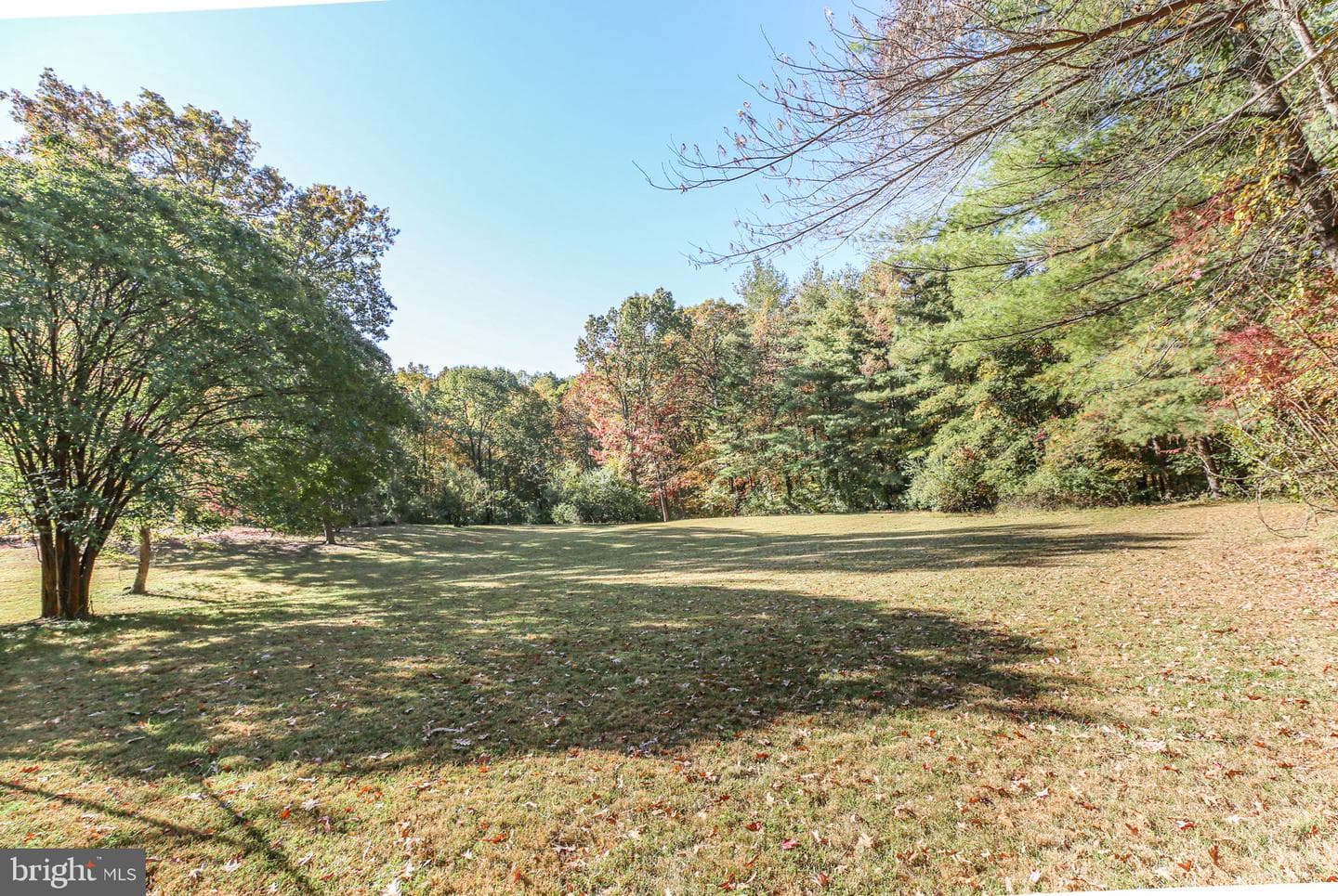 13469 Fowke Lane photo 59