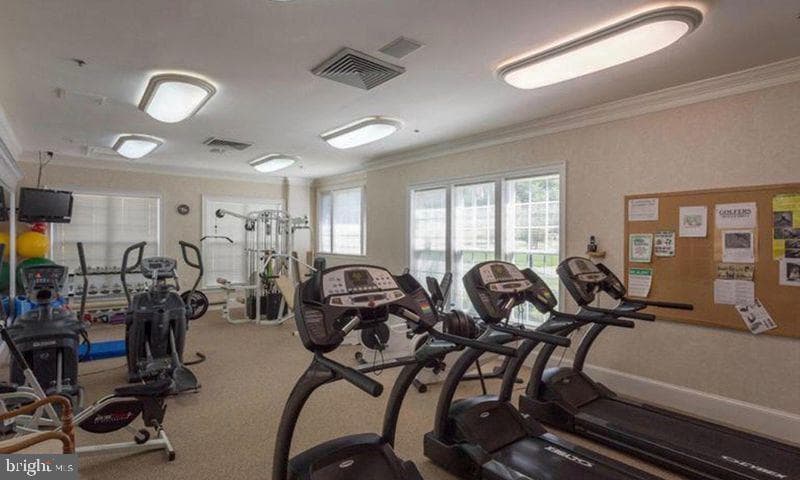 12165 Eddystone Court photo 13