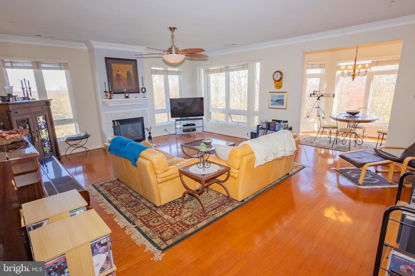 1621 Ladue Court #301 photo 6