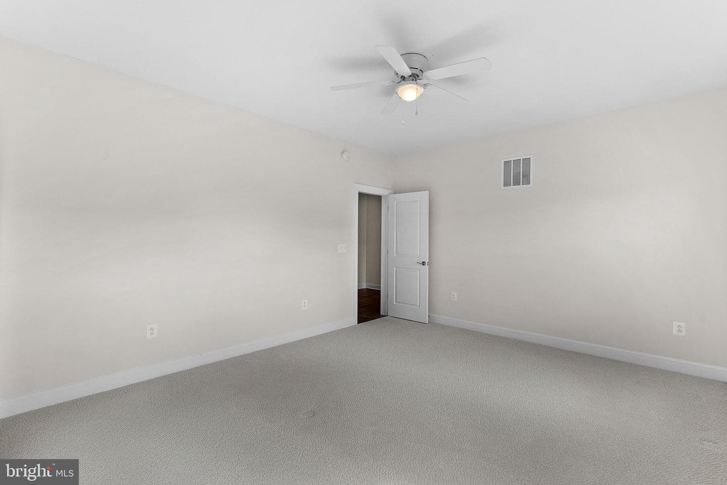 8682 Belle Grove Way photo 58
