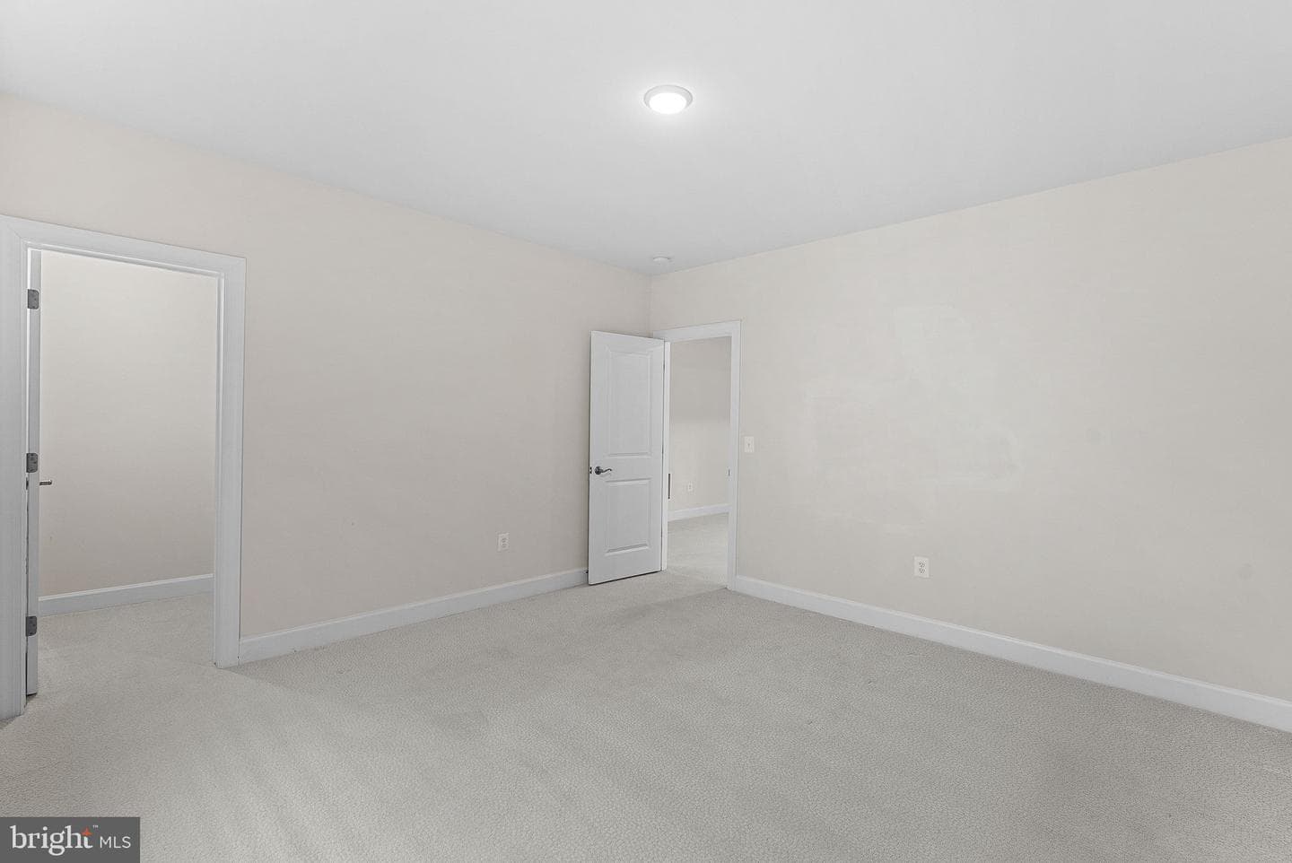 8682 Belle Grove Way photo 74