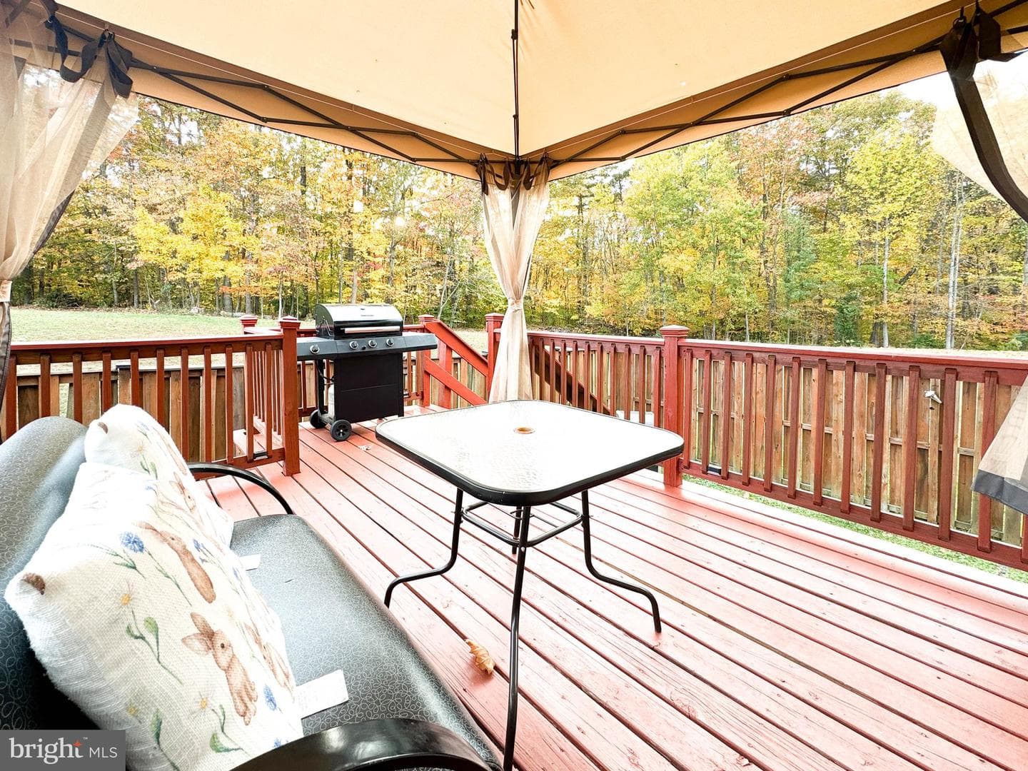 14212 Savannah Drive photo 13