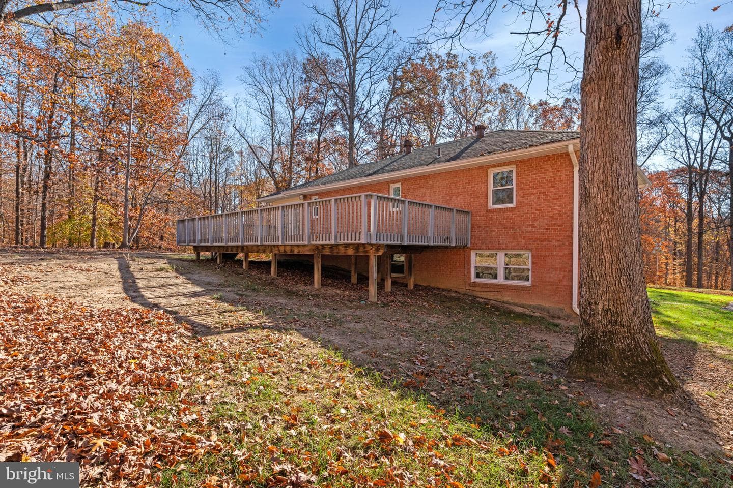 11106 Lake Jackson Drive photo 39