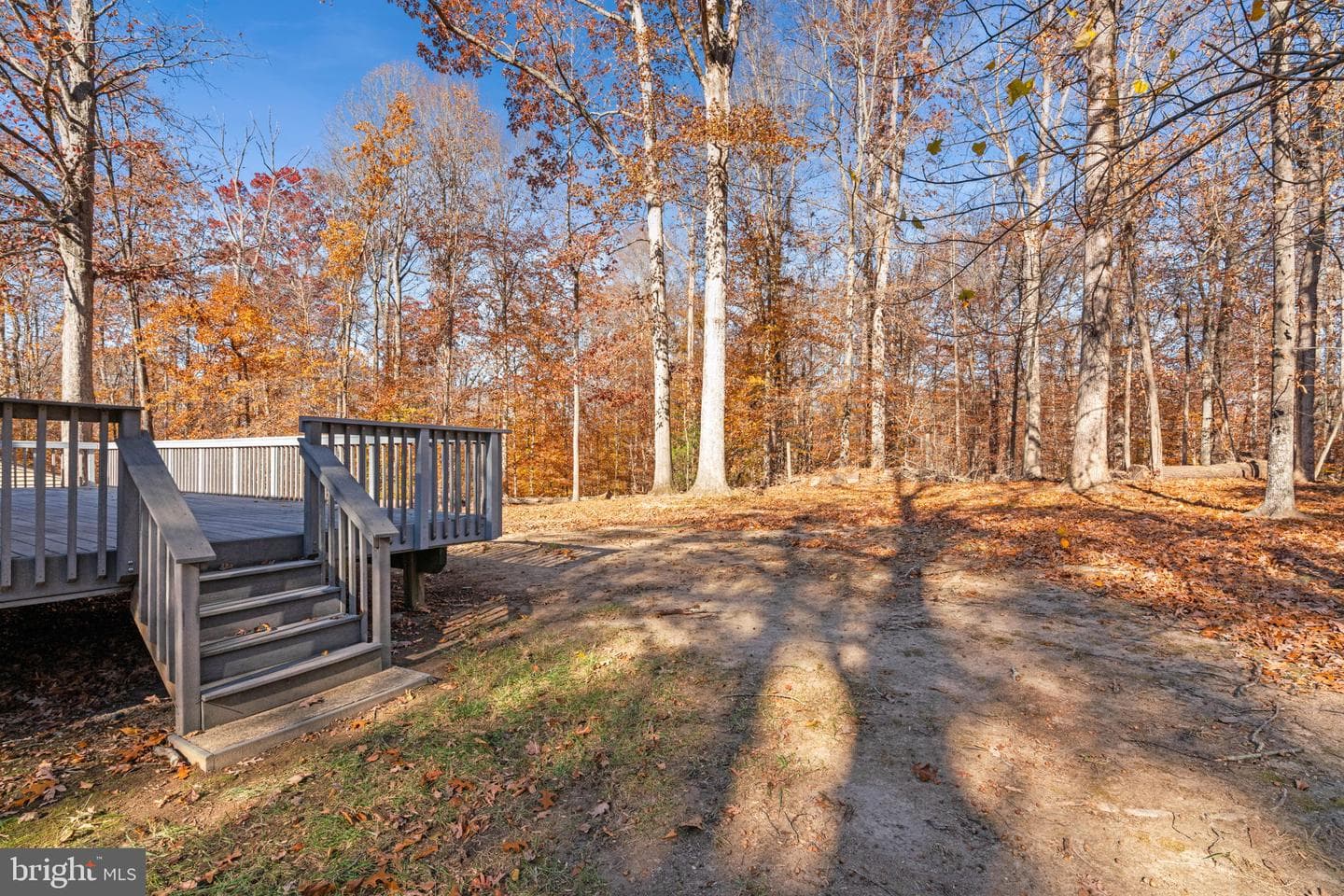 11106 Lake Jackson Drive photo 41