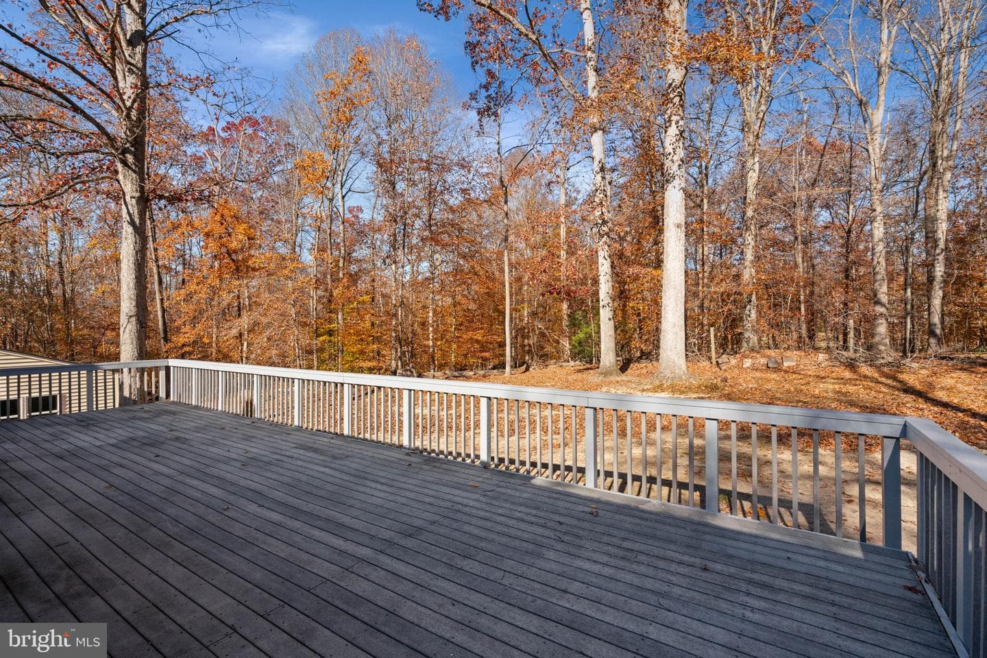 11106 Lake Jackson Drive photo 42