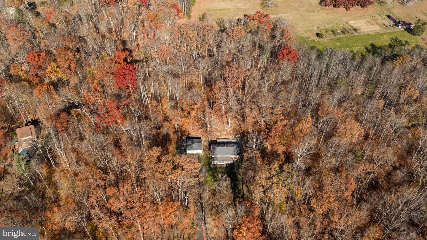 11106 Lake Jackson Drive photo 47