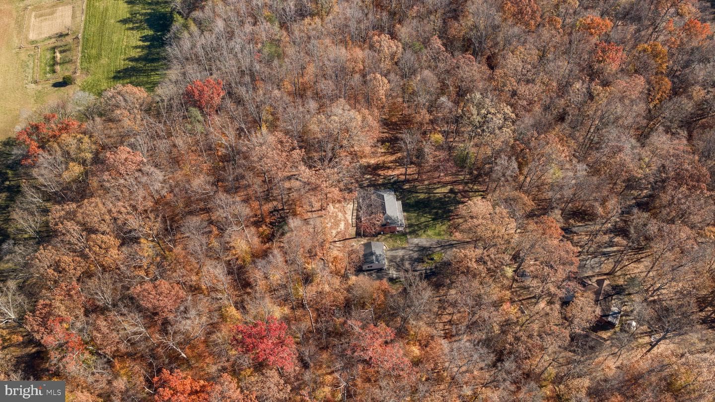 11106 Lake Jackson Drive photo 49