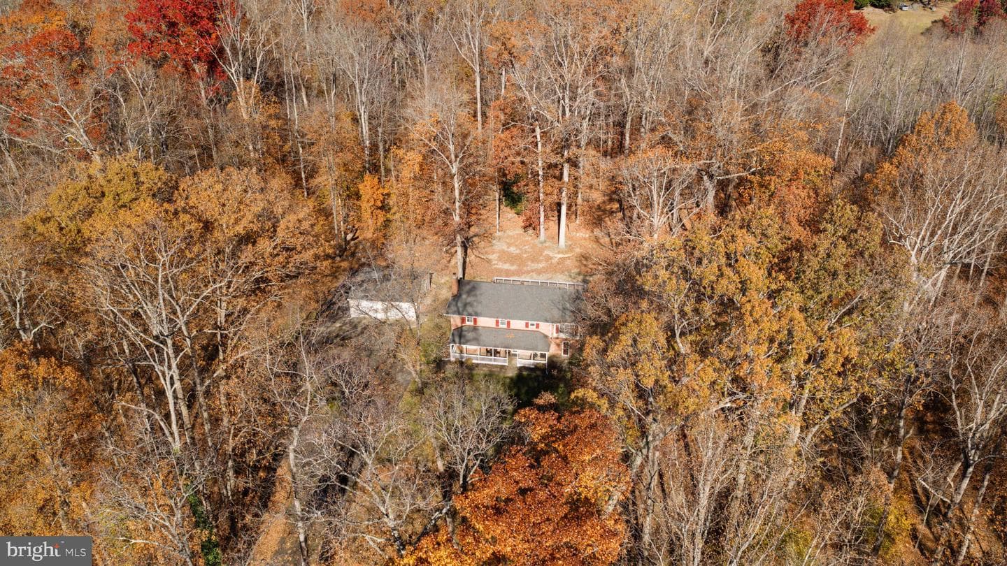 11106 Lake Jackson Drive photo 53