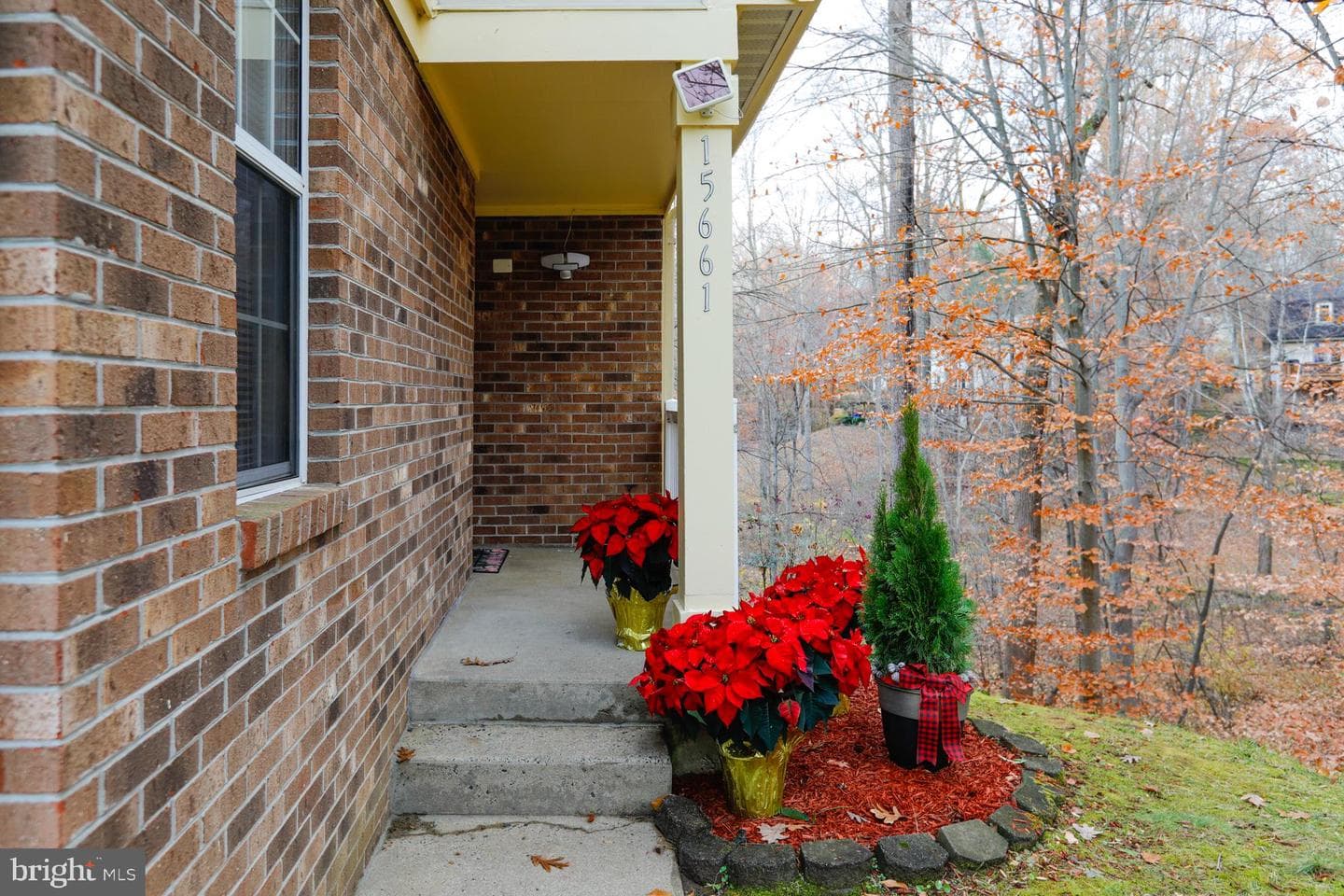 15661 Montview Drive photo 3