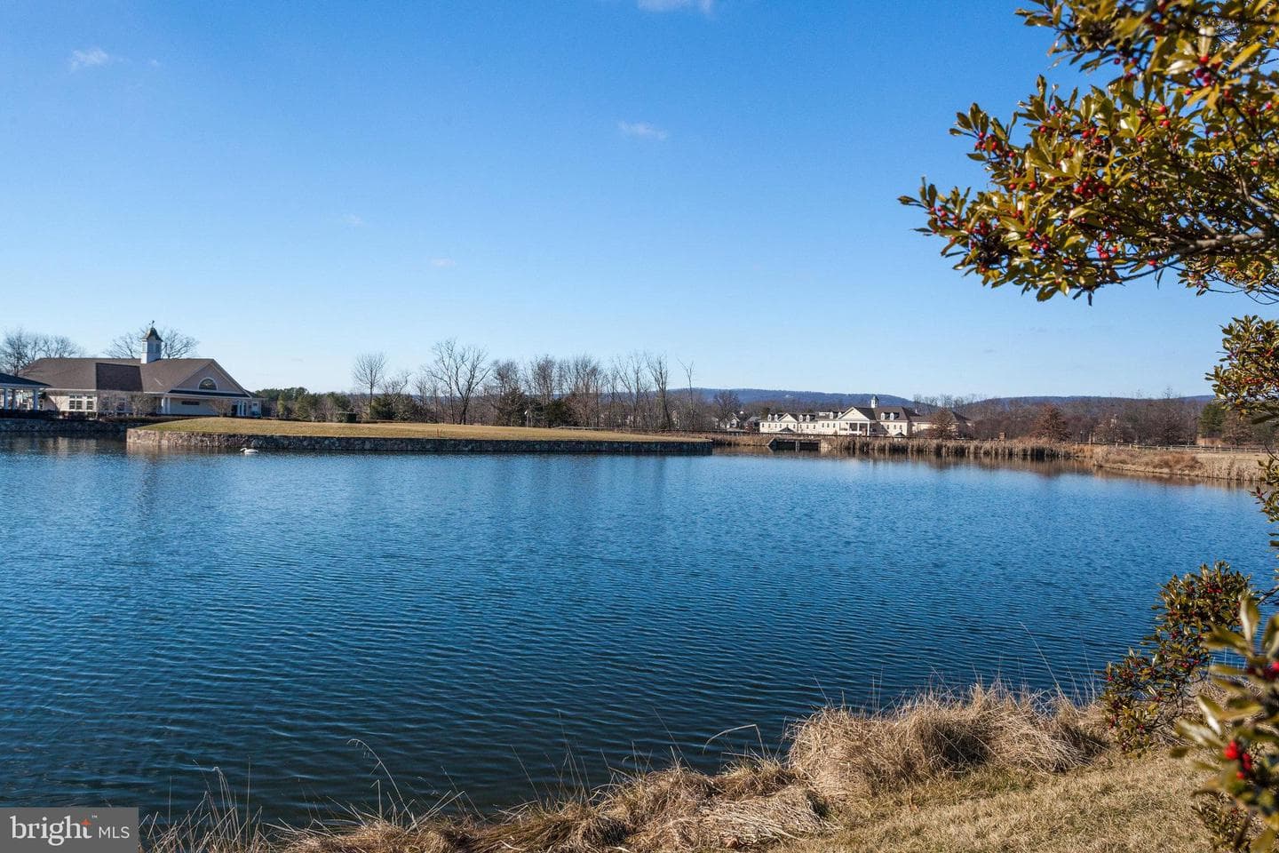 15110 Heather Mill Lane #201 photo 42