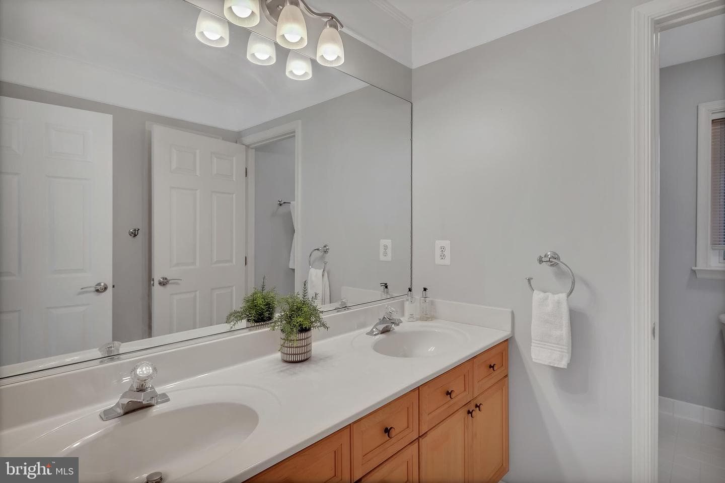7414 Silent Willow Court photo 46
