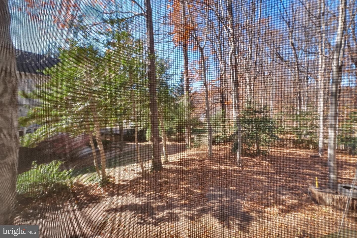 7414 Silent Willow Court photo 66