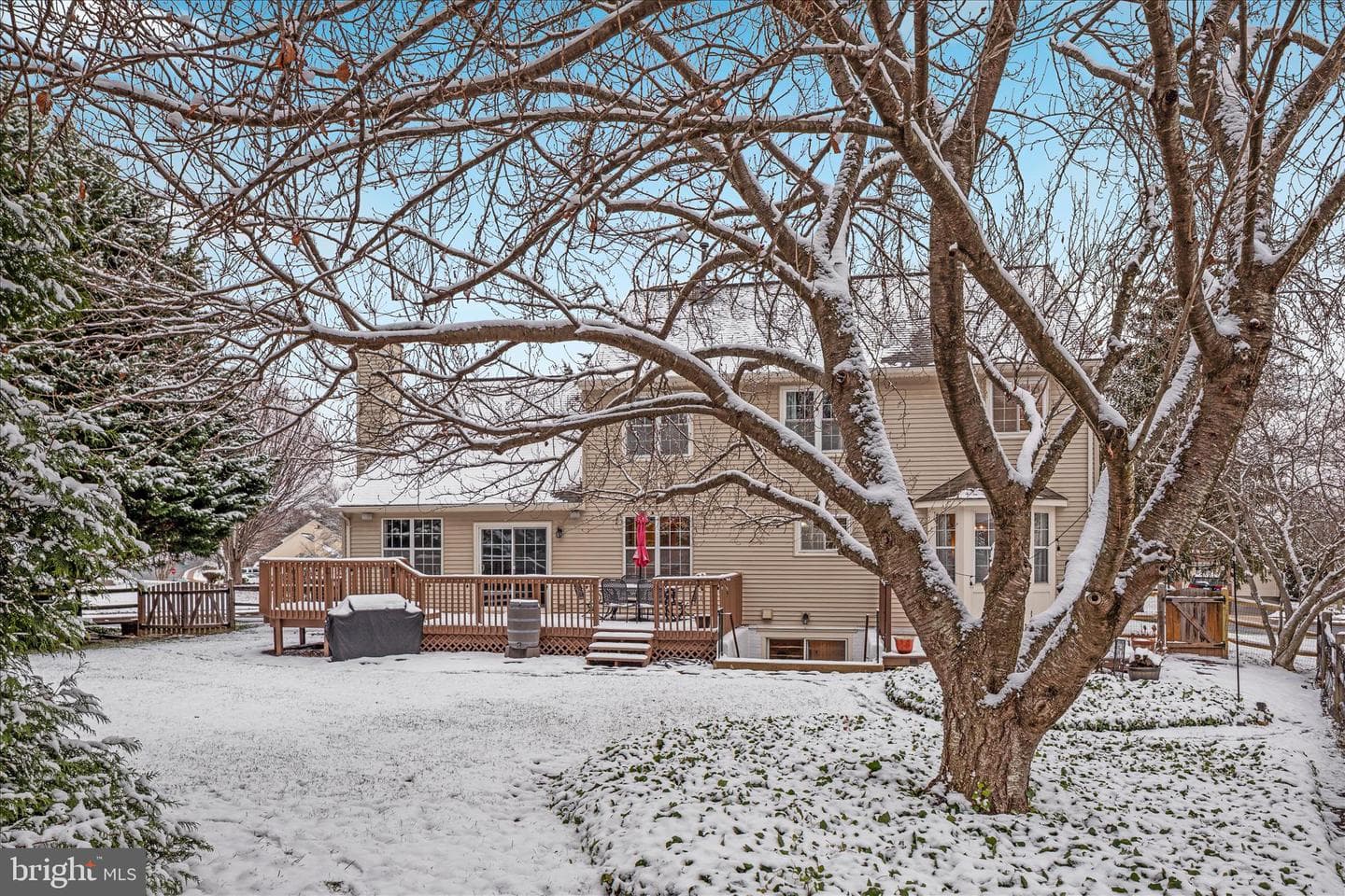 9107 Kearney Place photo 49